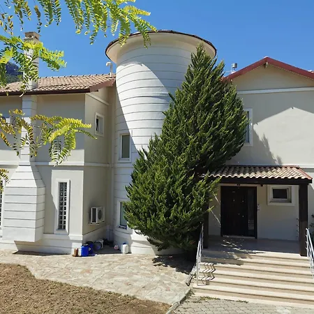 Ladywell フェティエ